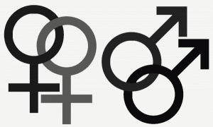 same-sex-icon