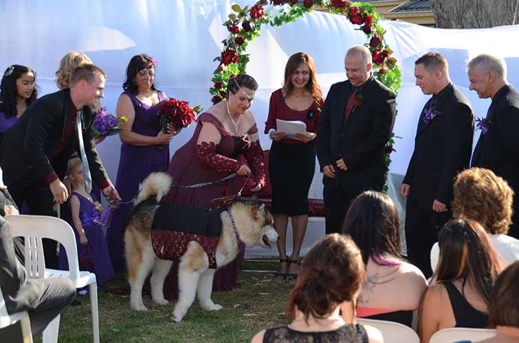 lower plenty wedding celebrant